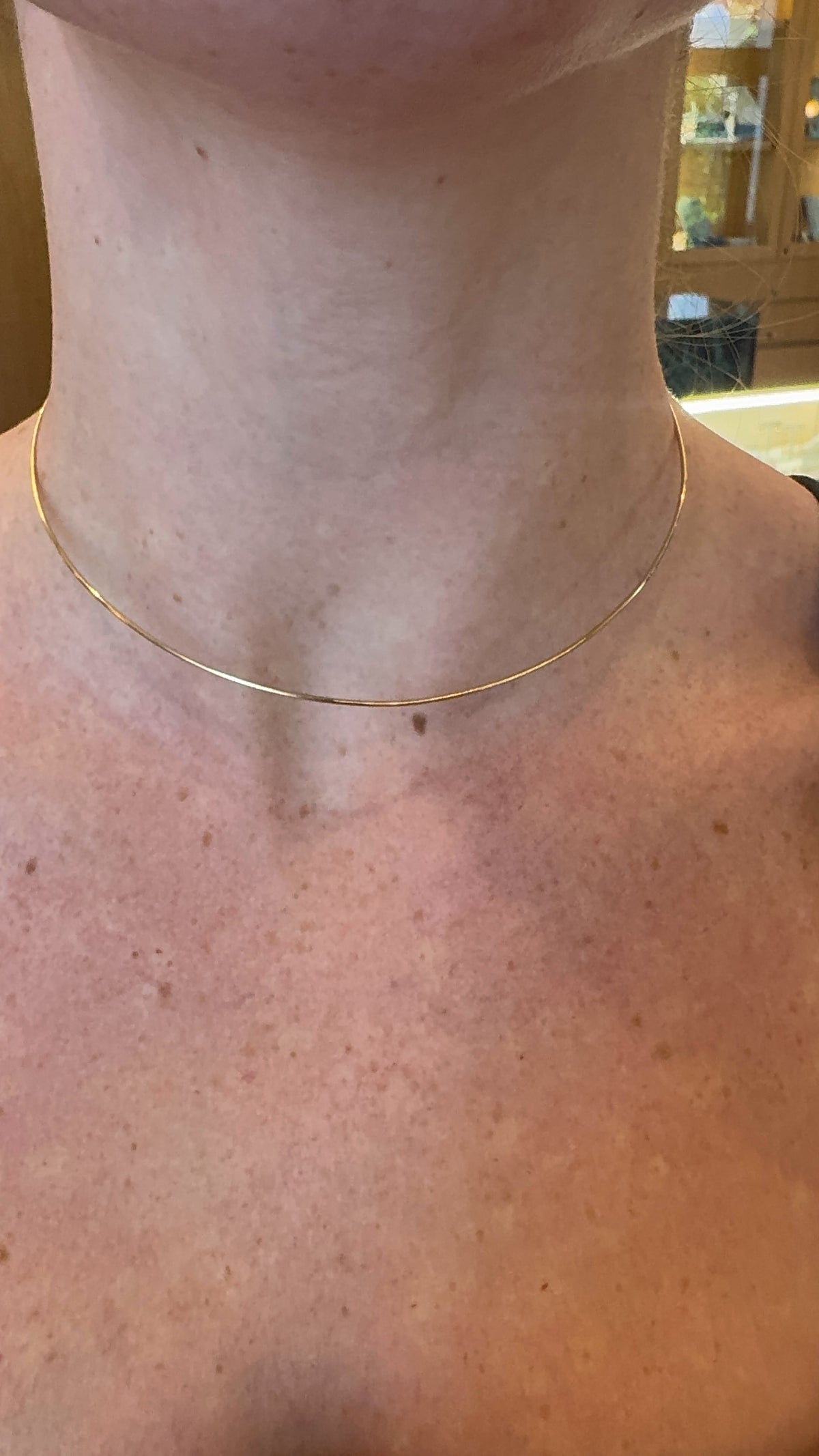 14K Gold Wire Necklace – Henri Noël