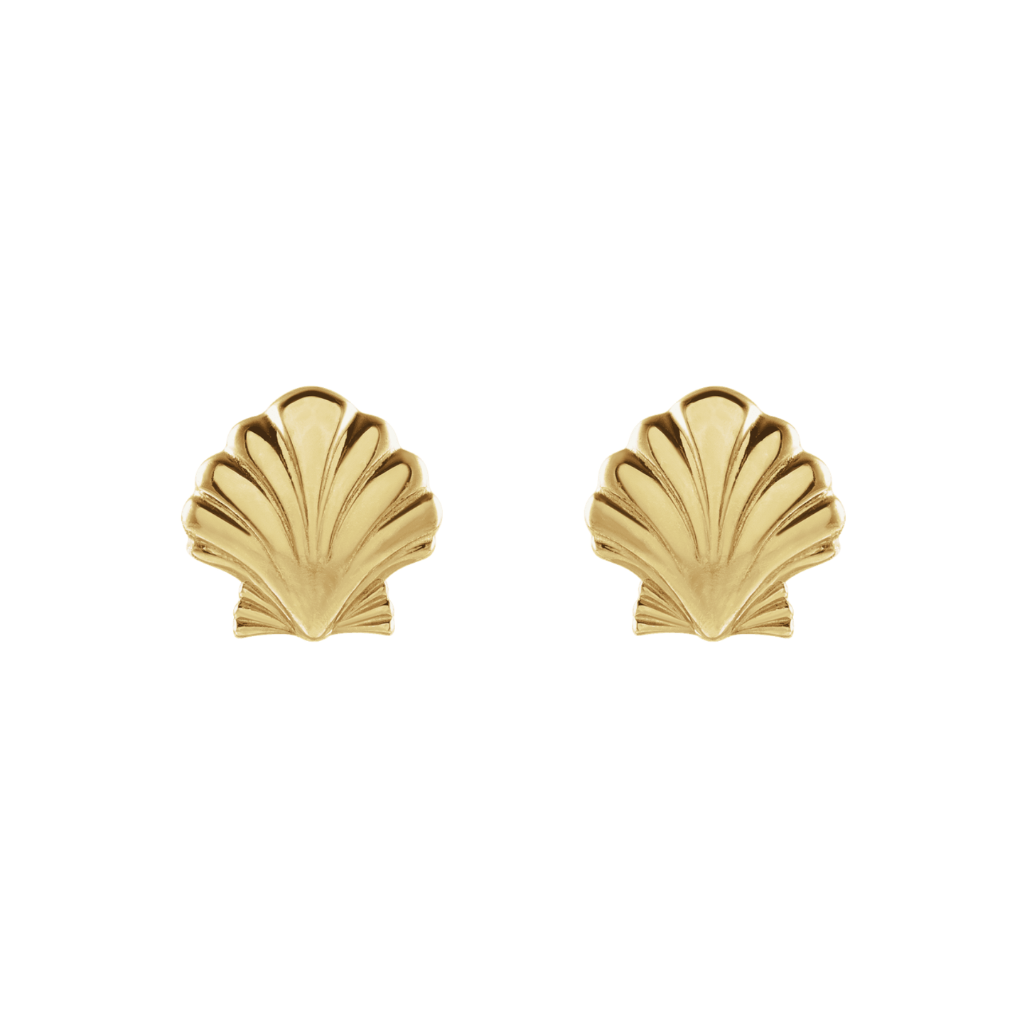 14K Shell Studs – Henri Noël