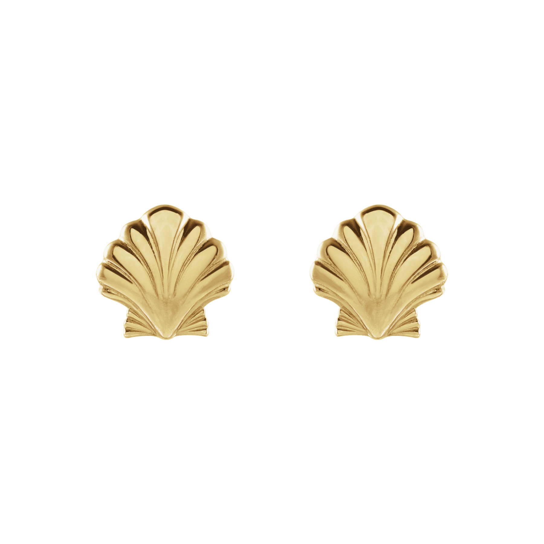 14K Shell Studs – Henri Noël