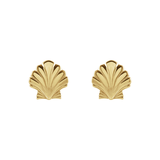 14K Shell Studs – Henri Noël