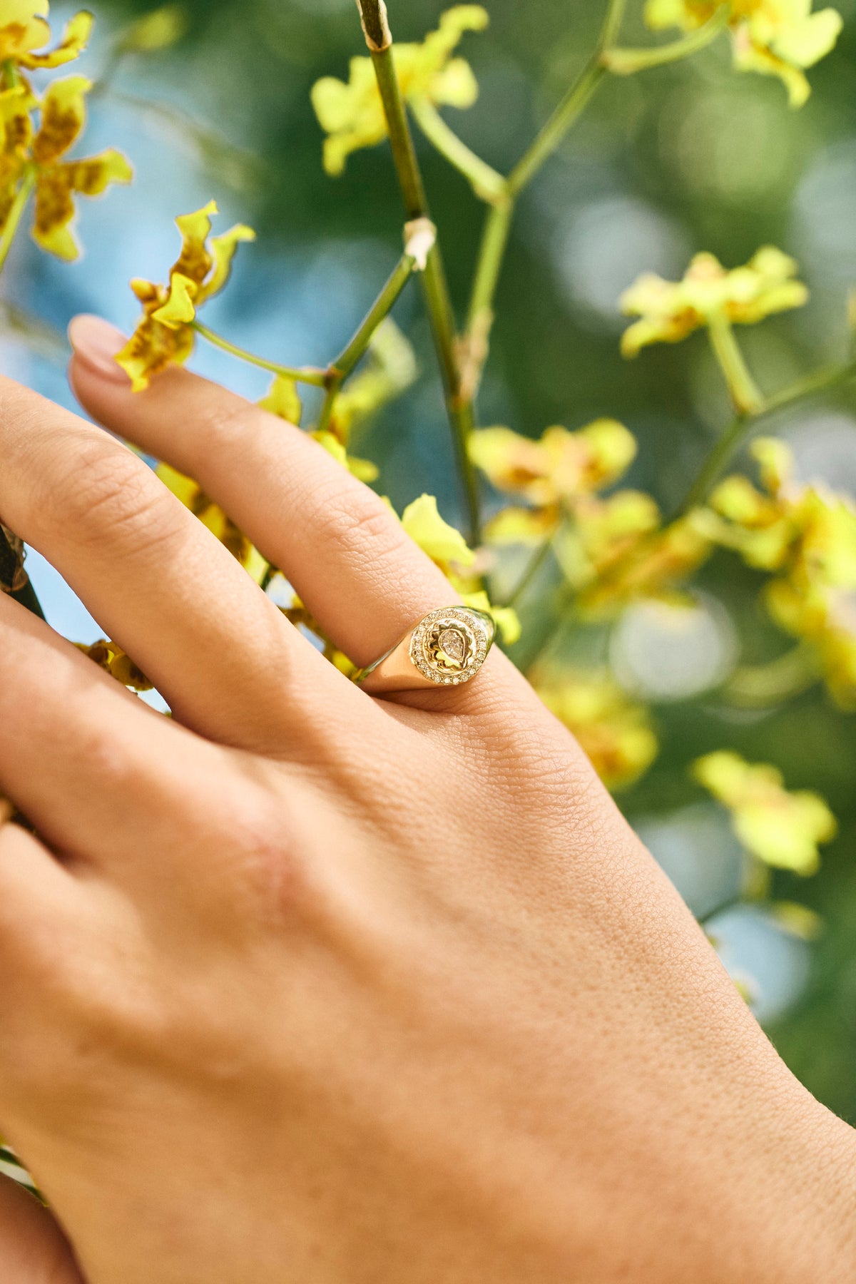 Diamond Scalloped Signet Ring – Henri Noël