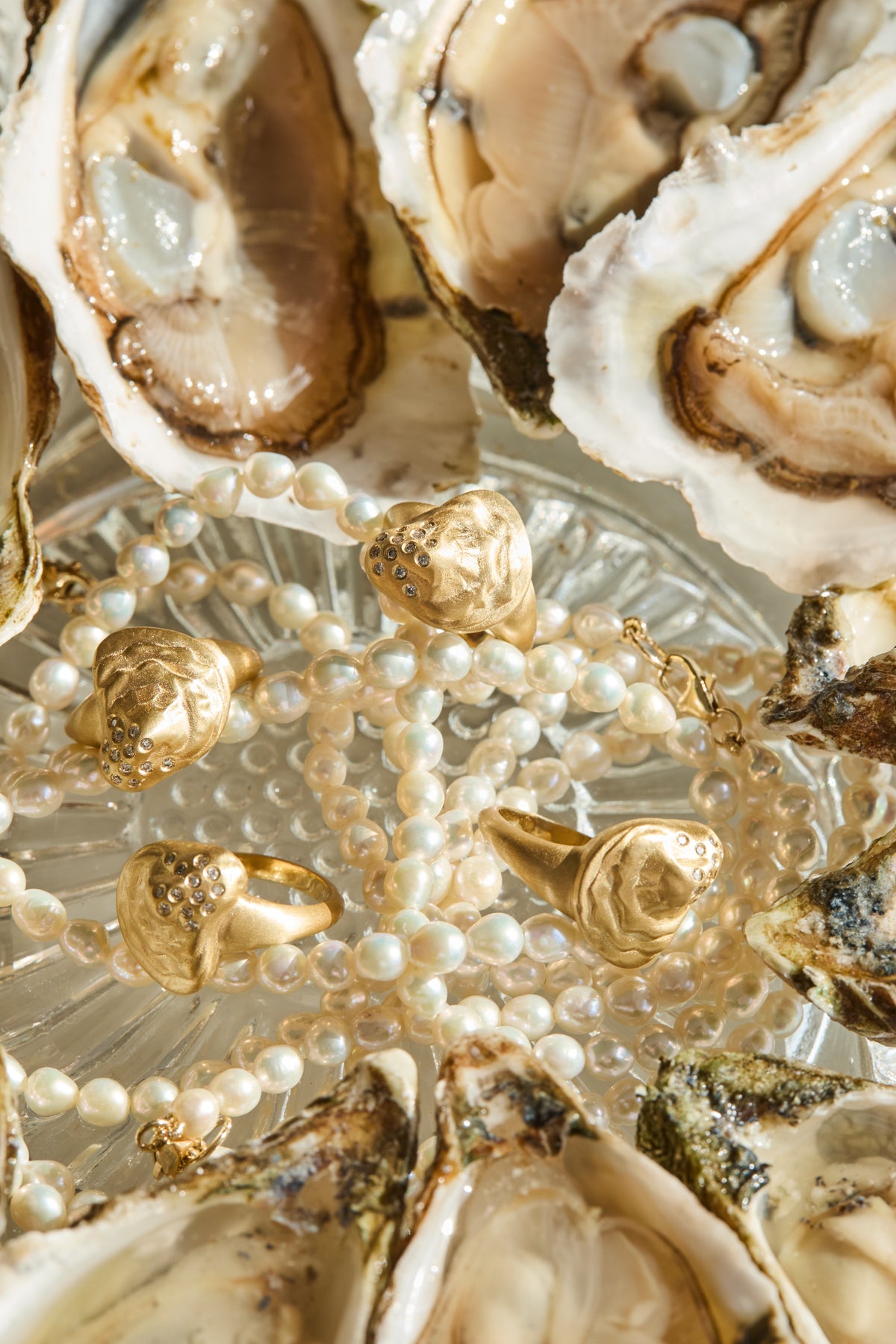 Diamond Shell Signet Ring – Henri Noël