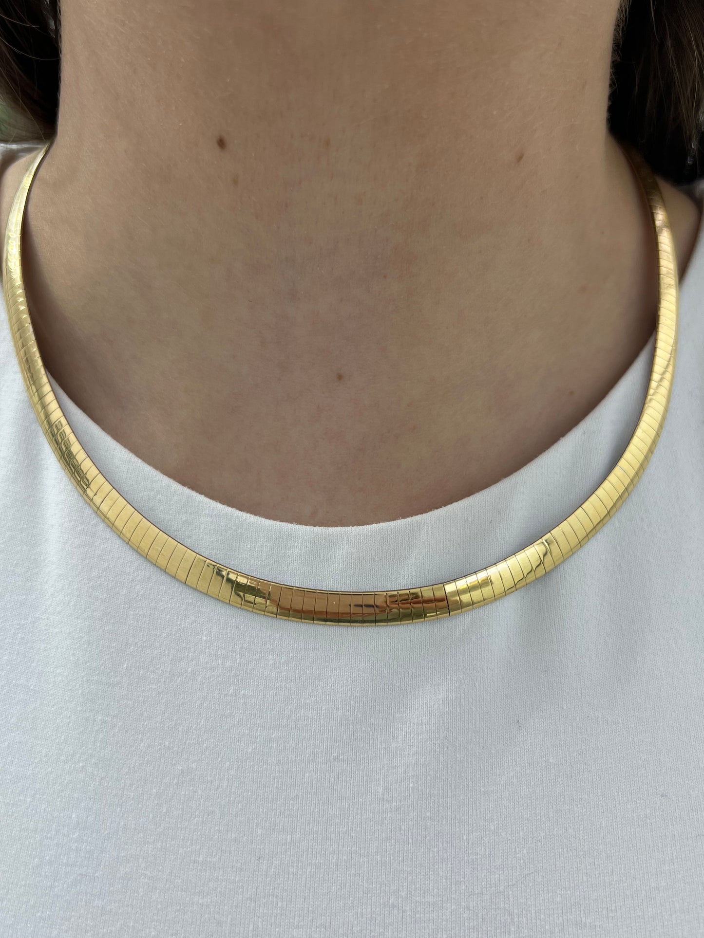 Two-Tone Omega Necklace