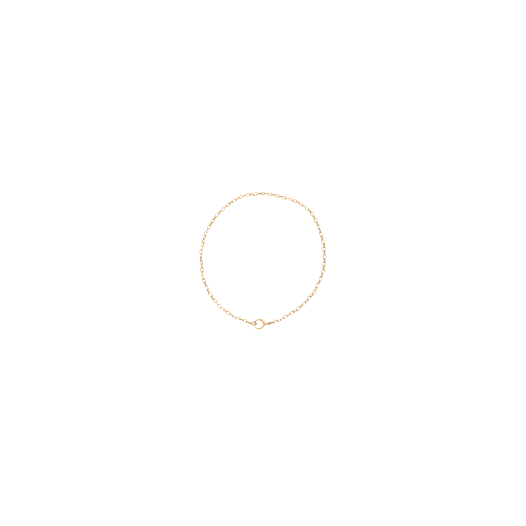 Diamond Clasp Link Necklace
