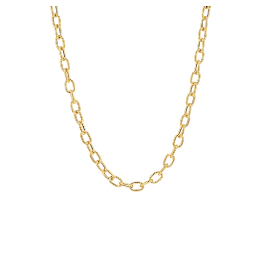 Rolo Chain Necklace – Henri Noël